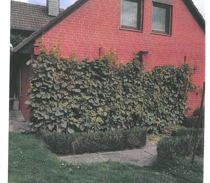 Bild der Immobilie in Rennau Nr. 1