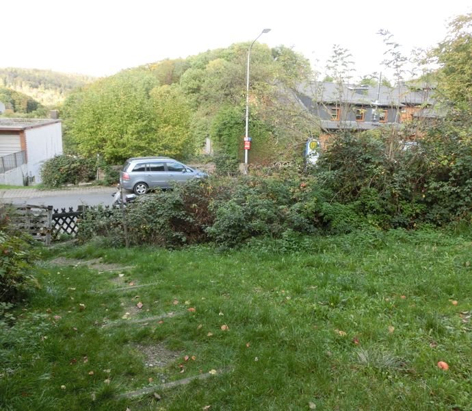 Bild der Immobilie in Fischbachtal Nr. 1