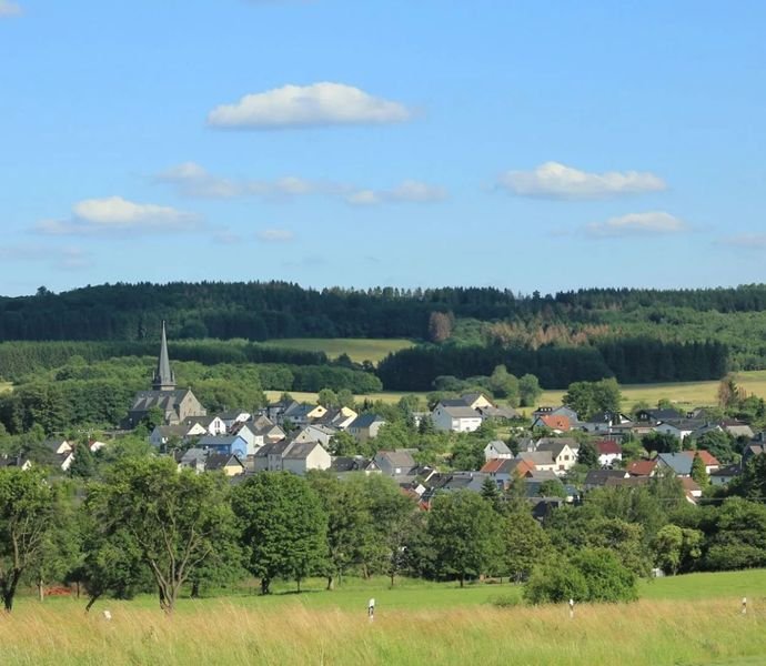 Bild der Immobilie in Elsoff (Westerwald) Nr. 1