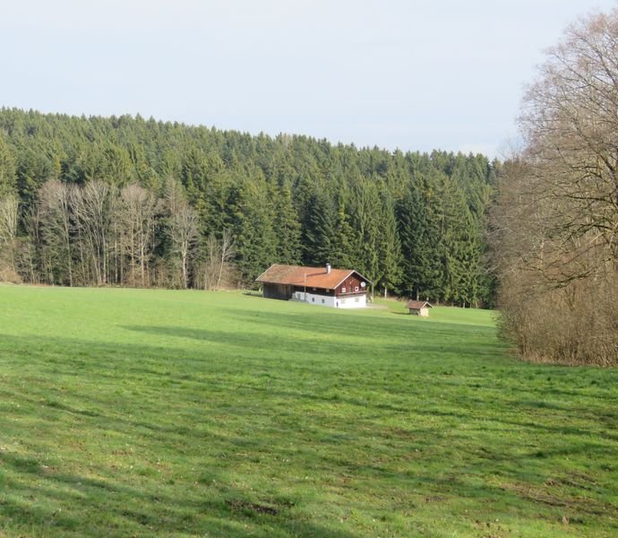 Bild der Immobilie in Kollnburg Nr. 1