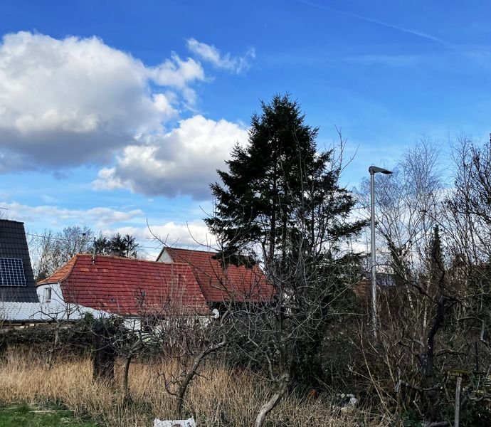 Bild der Immobilie in Weingarten (Pfalz) Nr. 1