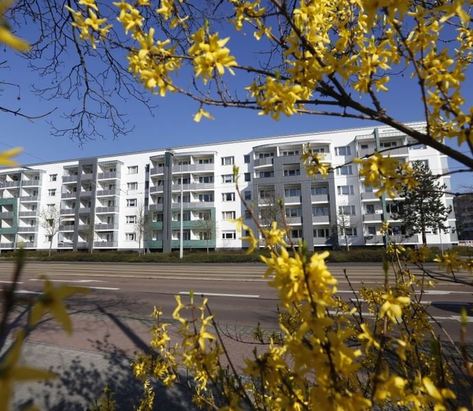 Bild der Immobilie in Dessau-Roßlau Nr. 1