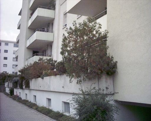 Bild der Immobilie in Rheinfelden (Baden) Nr. 1