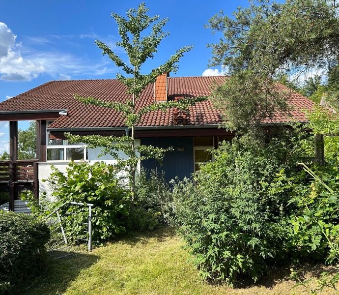 Bild der Immobilie in Schieder-Schwalenberg Nr. 1