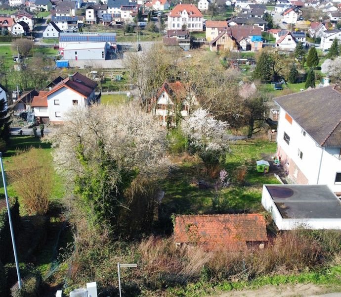 Bild der Immobilie in Epfenbach Nr. 1