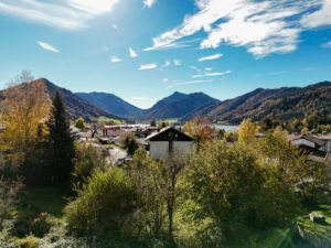 image-56576917