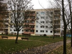 image-56667508
