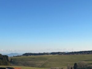 image-56739356