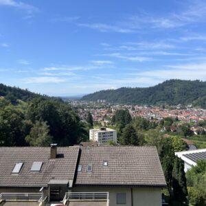 image-56748155