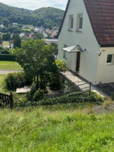 image-56982054