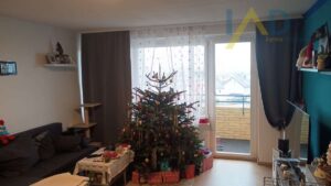 image-57033314