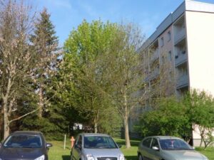 image-57113239