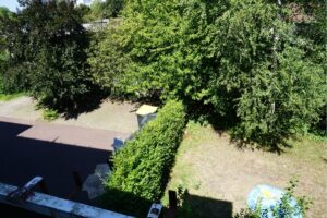 image-57678144