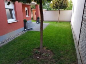 image-58282878