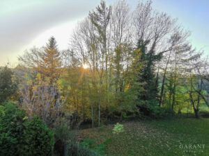 image-58463777