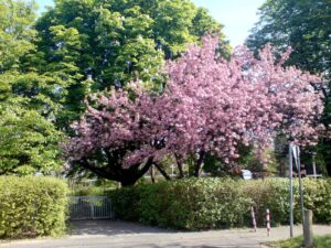 image-58466519