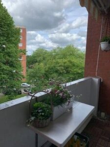 image-58484927