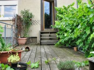 image-58724625