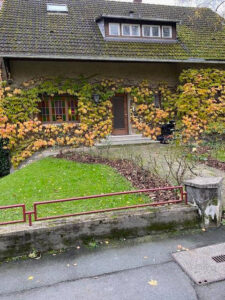 image-58742666
