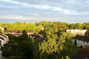 image-59309484