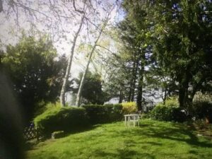 image-59436696