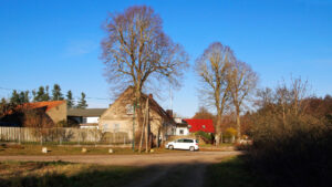 image-59553687