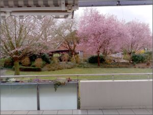 image-59965264