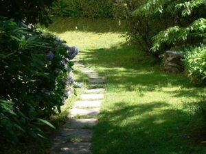 image-60041483