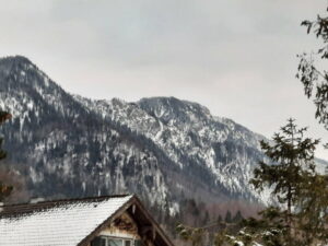 image-60052967