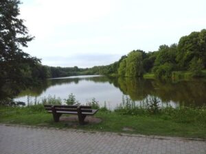 image-60066605