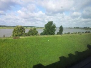 image-60232262