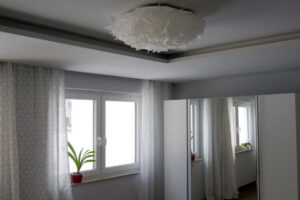image-60330123