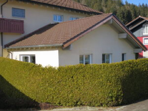 image-60509694