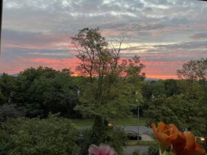 image-60510092