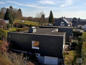 image-60550369