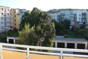 image-60600357