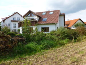 image-60727008