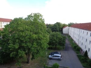 image-60798291