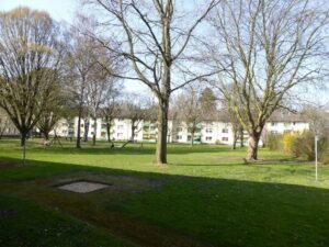 image-60866634