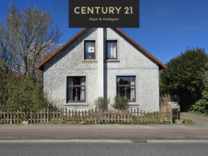 image-60997011
