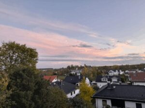image-61017030