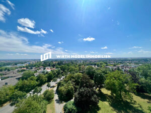 image-61018297