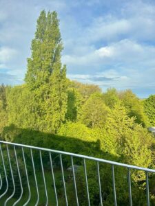 image-61066733