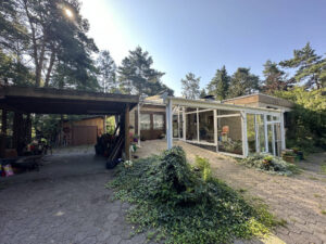 image-61134788
