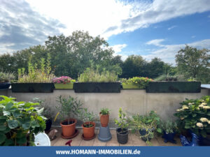 image-61236587