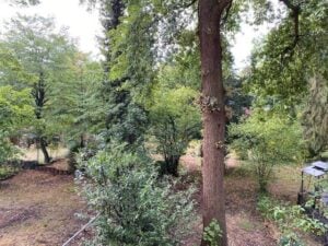 image-61237762