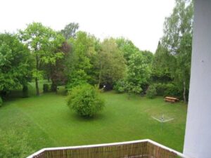 image-61279711