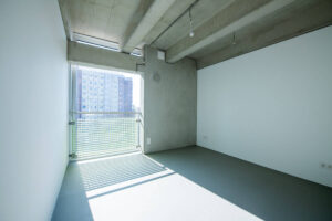 image-61359056