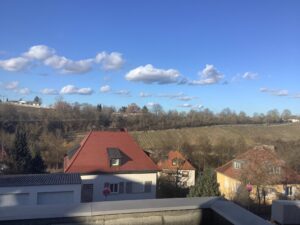image-61502947