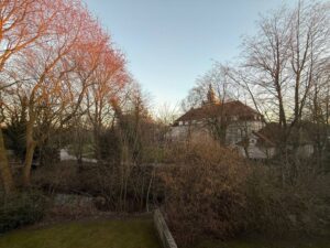 image-61605746